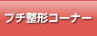 �v�`���`�R�[�i�[