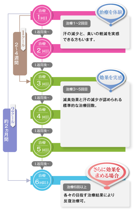 治療の目安