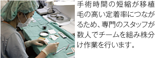 手術時間の短縮が移植毛の高い定着率につながるため、専門のスタッフが数人でチームを組み株分け作業を行います。